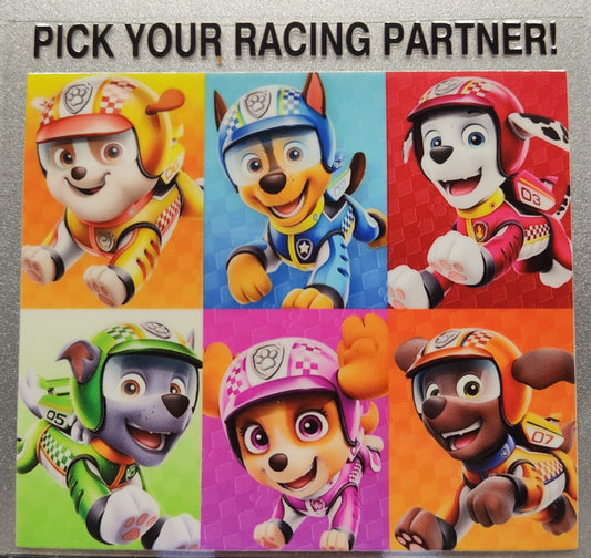 Racing Paw Patrol