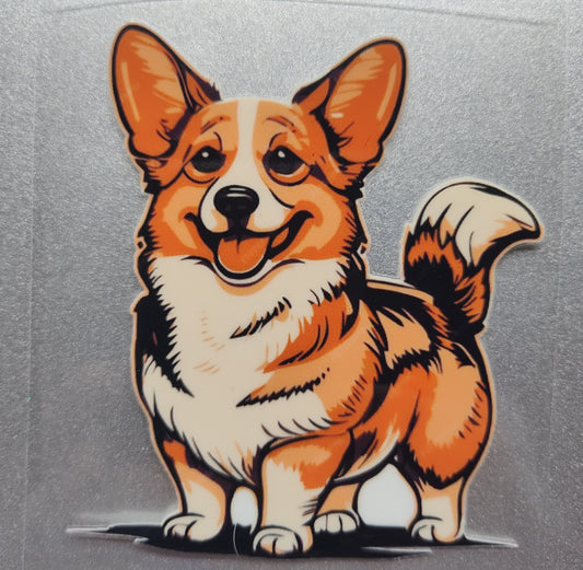 Corgi